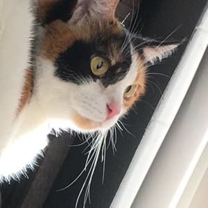 Meet your Posher, Marisa